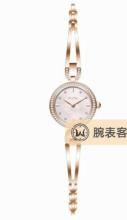 飞亚达玲珑L864007.PFPD